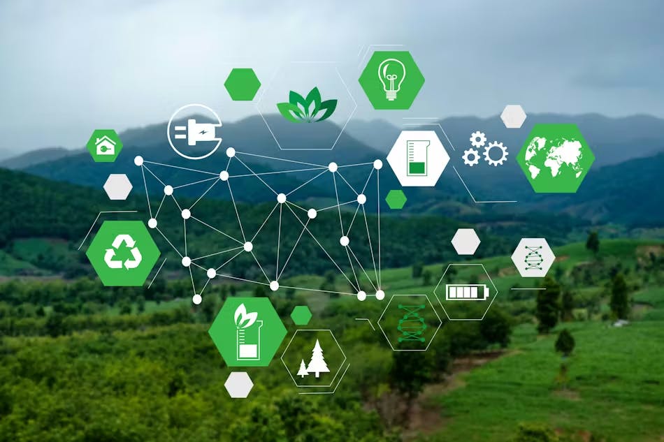 691f7a41cc8a43ad648761ffsustainability_hexagons__1