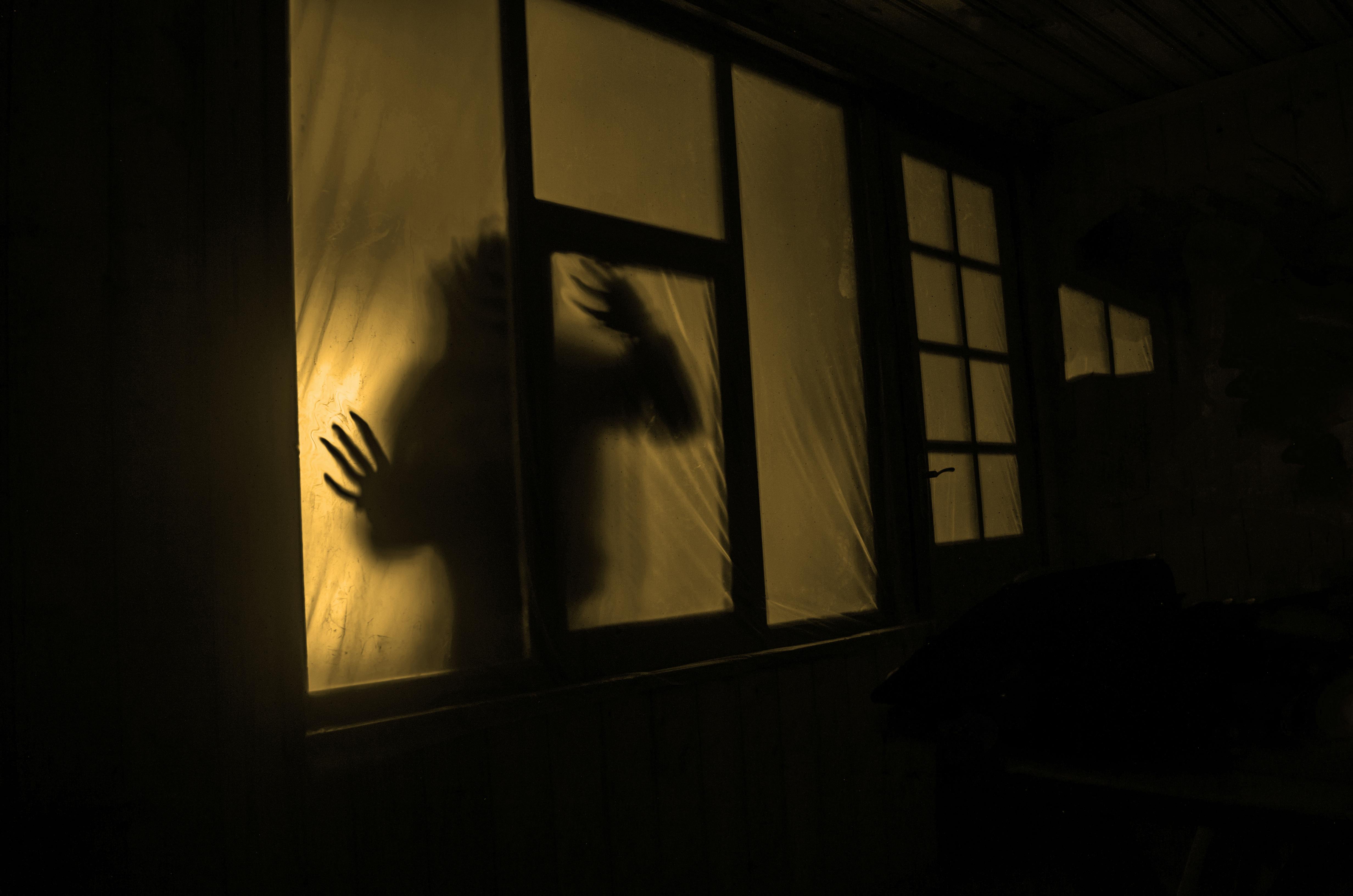 Zombie shadow at the door