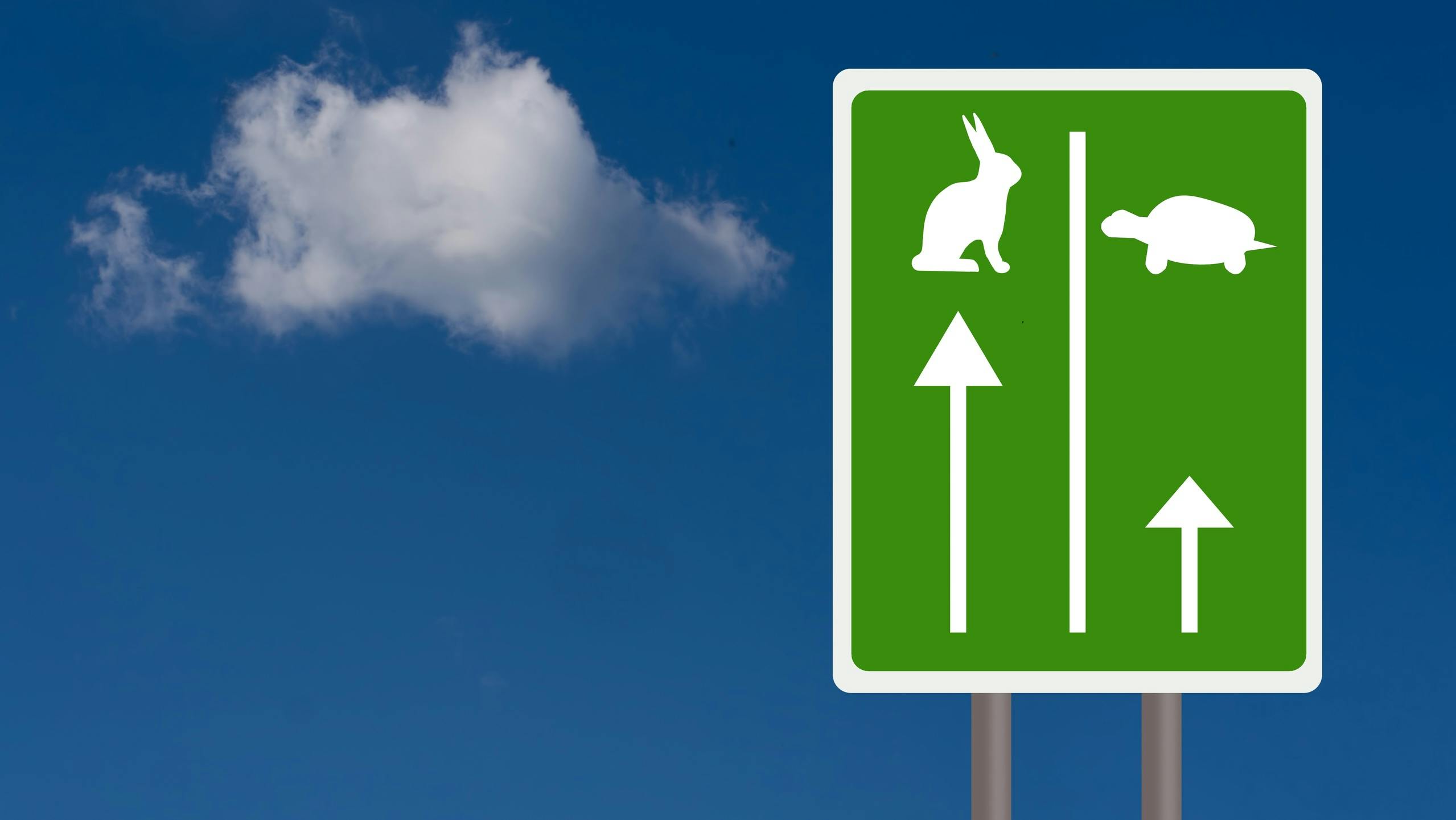 Fast and slow travel lanes for tortoise aka turtle and hare, Business success concept. Sky background with copyspace.