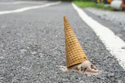 Ice cream dropped on ground Ice cream dropped on ground