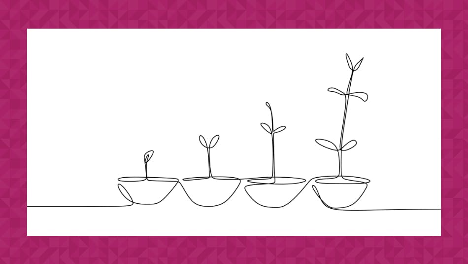 Continuous line drawing of plant growth processes
