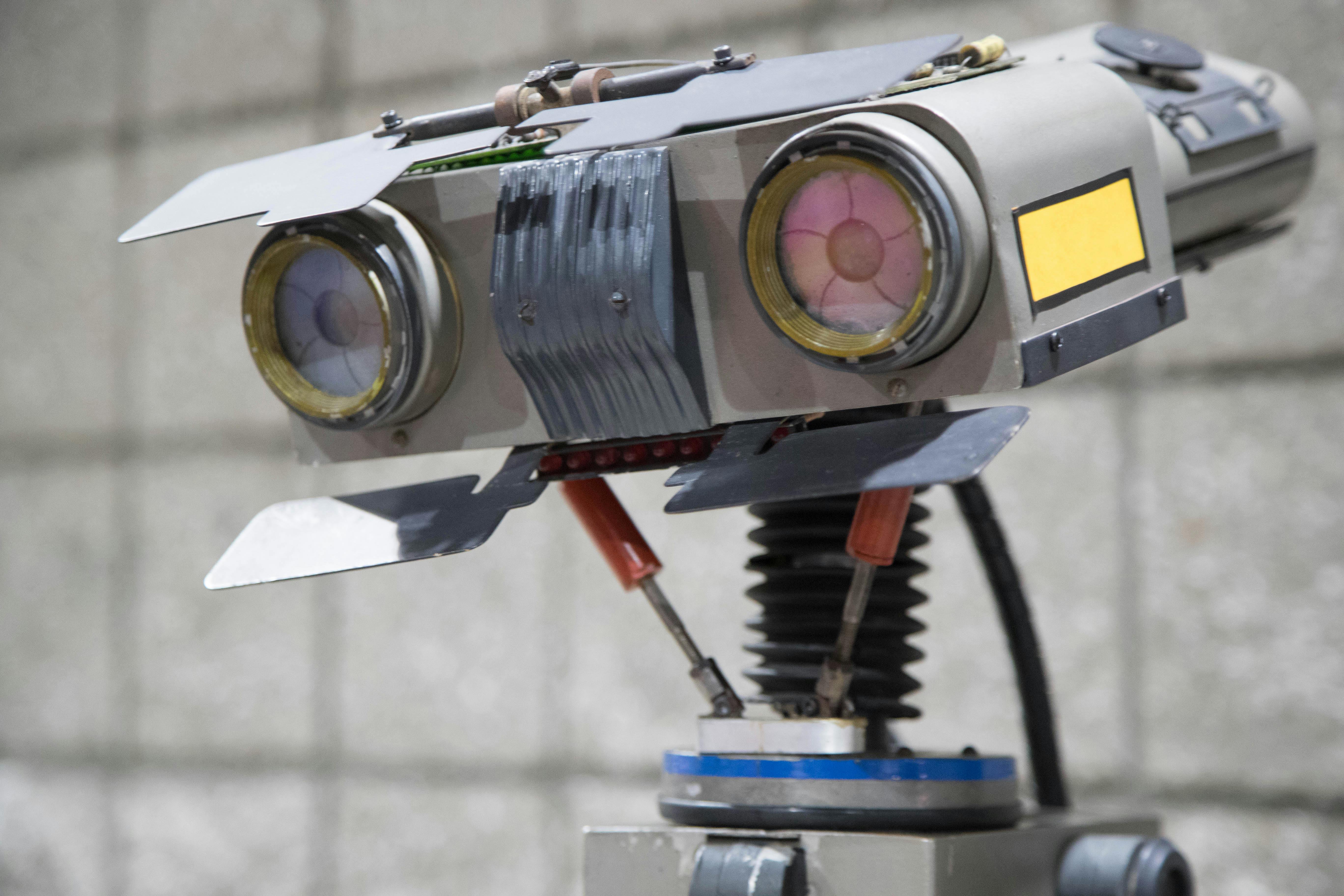 dreamstime_xxl_126224378