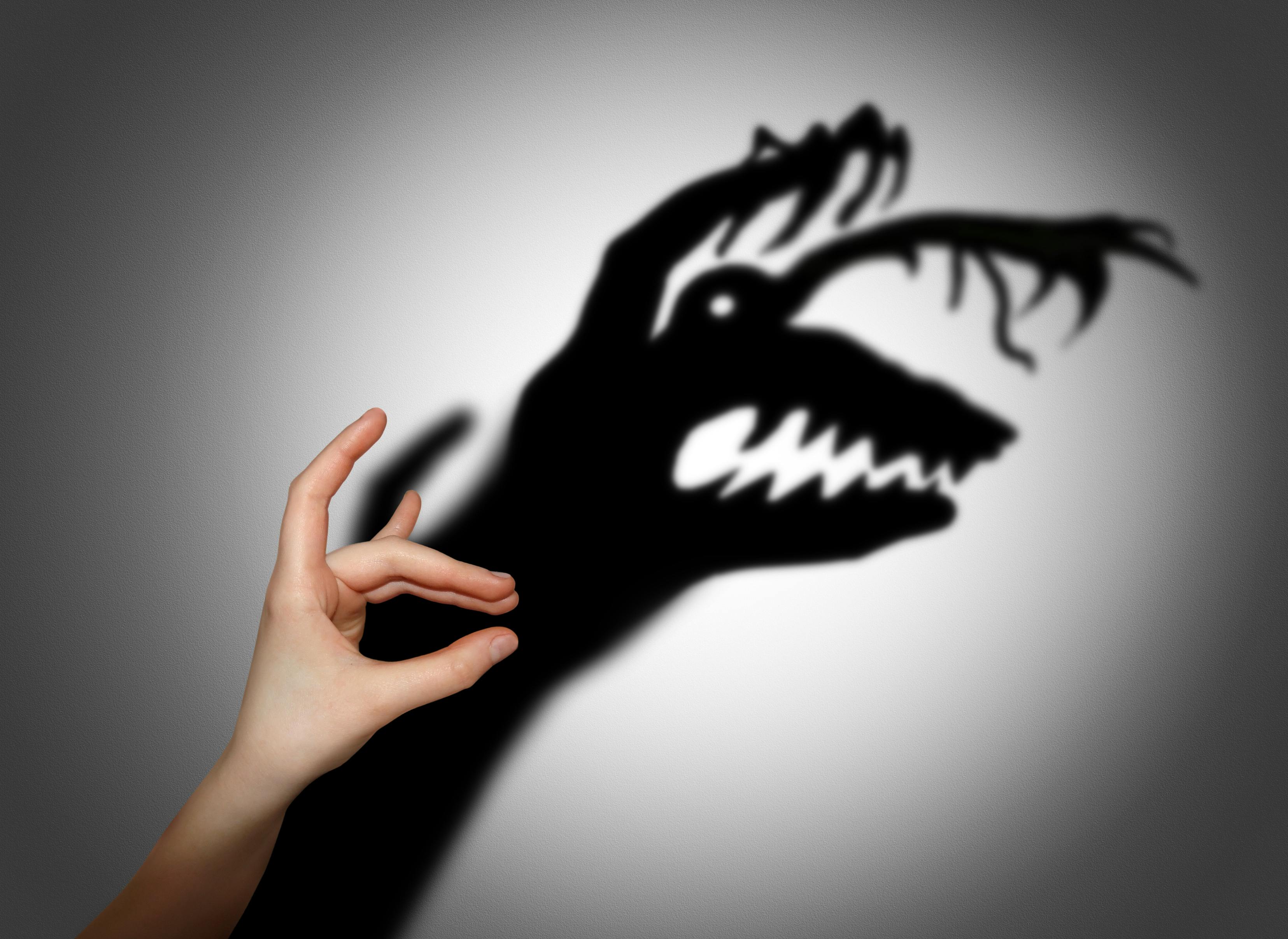 Fear, fright, shadow on the wall.