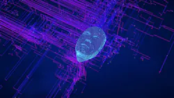 6a43f7209f1cd0efee271c14 Dreamstime Xl 457610575