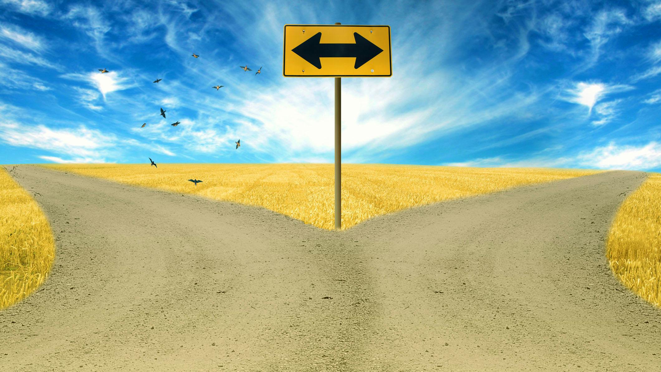Drawing of a fork in the road split by a road arrows sign with blue sky and countryside landscape.